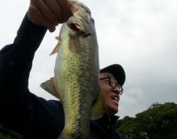 ブラックバス釣果情報（幕張店）